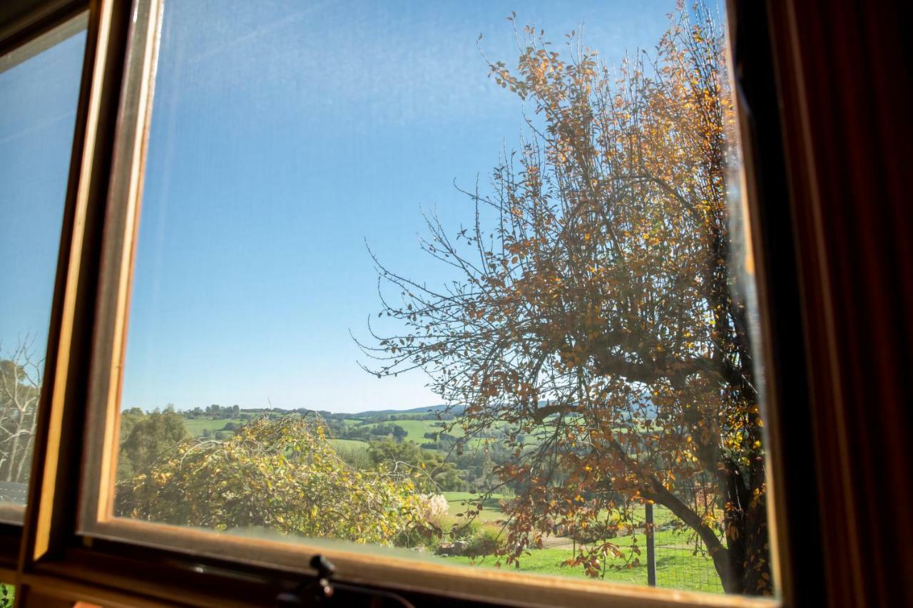Neerim South Vivere Retreat מראה חיצוני תמונה